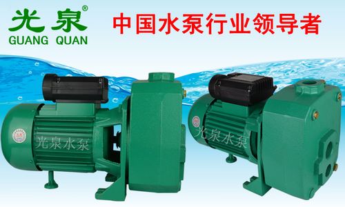 水井深吸程水泵 深水井吸水泵 高吸程地下井抽水泵 深井抽水机