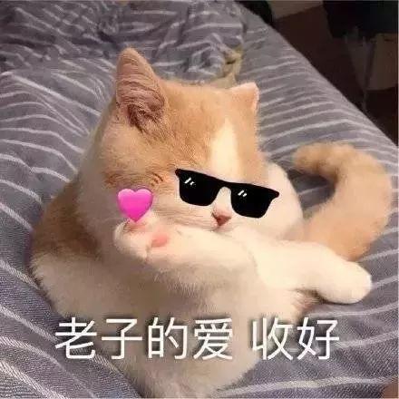 斗图表情包|斗图搞笑表情包|撩人必备表情包可爱|斗图