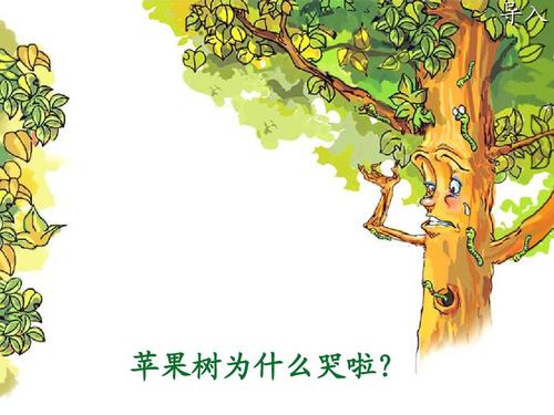 幼儿园大班音乐欣赏啄木鸟课件ppt