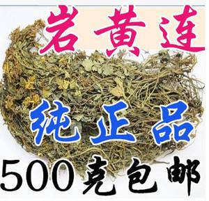 岩黄连