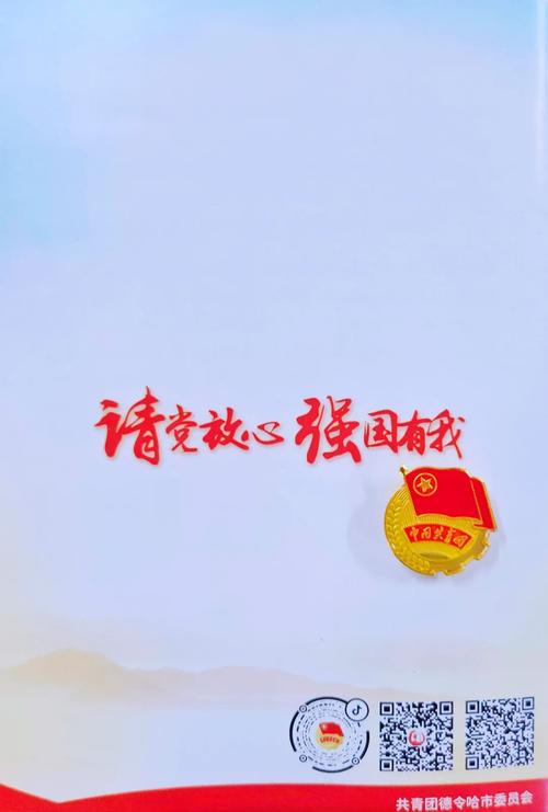 共青团德令哈市委开展"请党放心 强国有我"主题活动暨三项计划志愿者