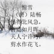 72惊雪唐陆畅
