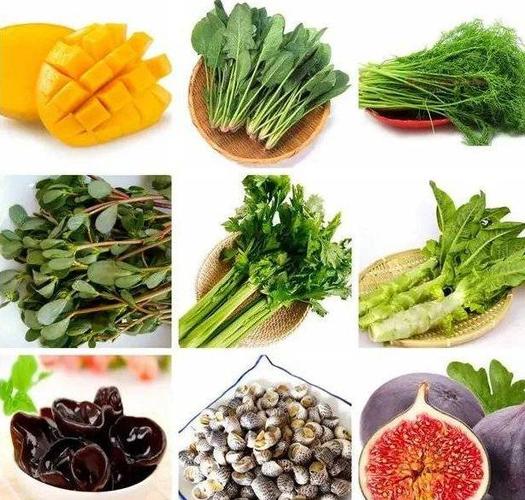 中医常说的"发物",到底是什么?