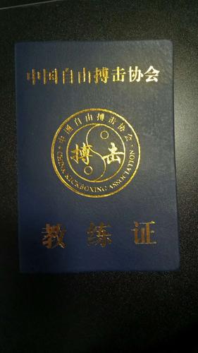 中国自由搏击一级教练员