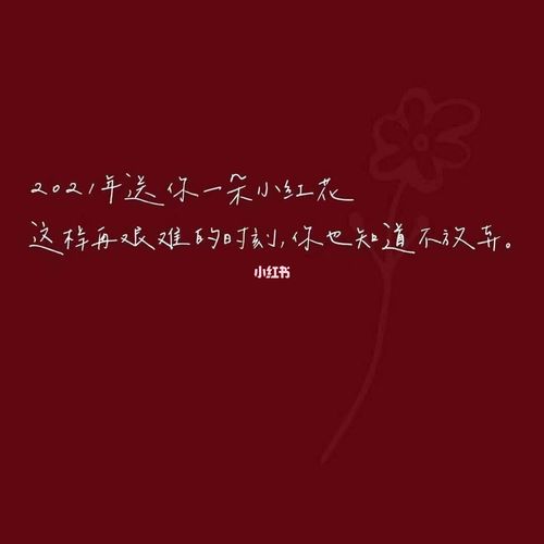 四字弟弟送你一朵小红花_小红花_送你一朵小红花影评