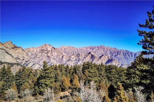 到贺兰山赏春光!还有两个景区明天正式开放