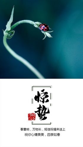 以蓝色为主色调,适用于惊蛰节气当天朋友圈问候,早安问候,心情日签