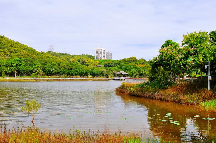 随拍深圳大运公园神仙湖