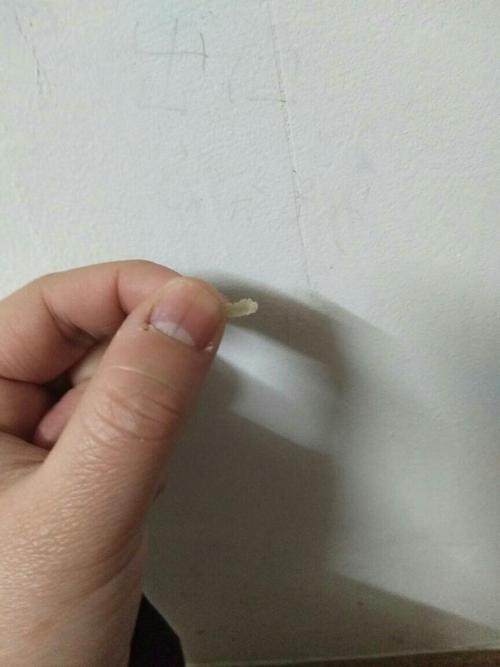 我今天掏耳朵这么大的皮皮,什么东西