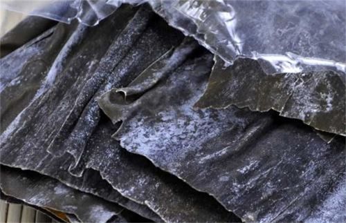 昆布和海带有什么区别