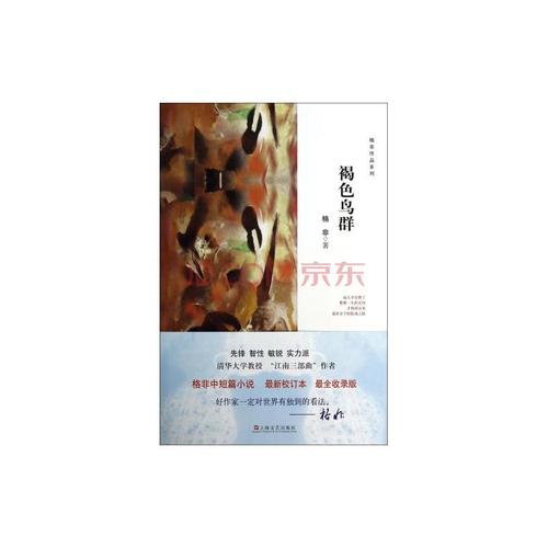 褐色鸟群/格非作品系列