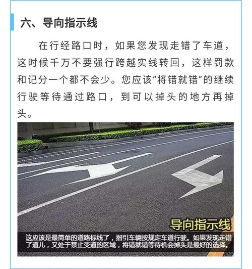 路上常见交通标线图解