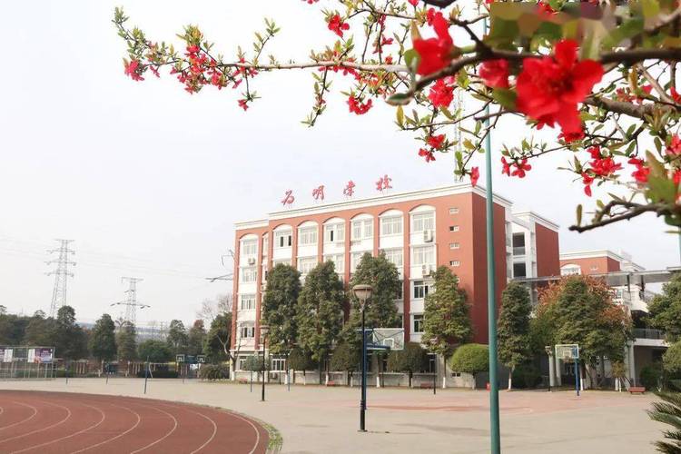 金牛区实外高级中学春春天成都高新实验中学春春成都外国语学校高新