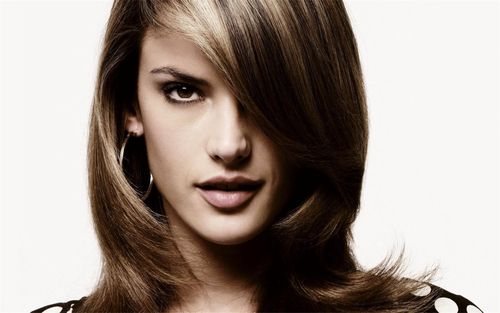 2014维密天使亚历山大·安布罗休性感写真桌面壁纸