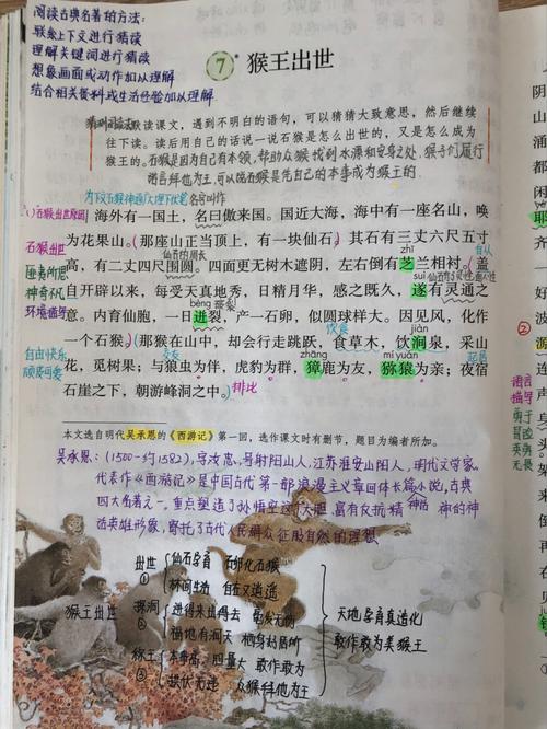 五年级下册语文笔记之《猴王出世》