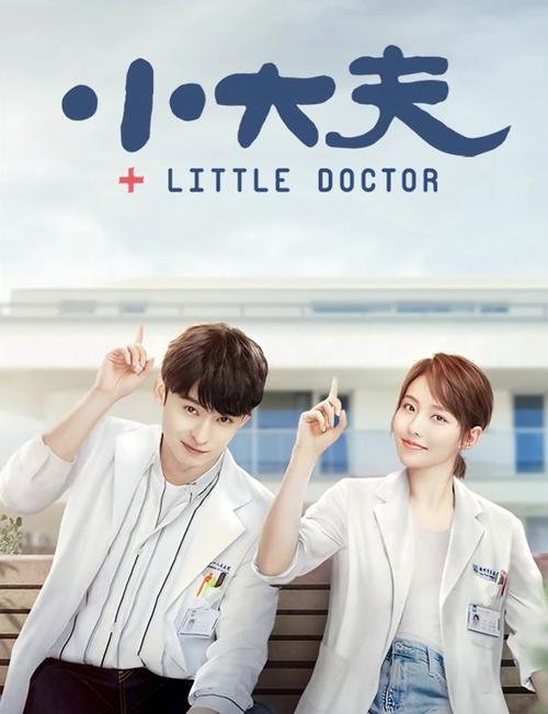 《小大夫》电视剧 - 全集超清免费在线观看 - 无极
