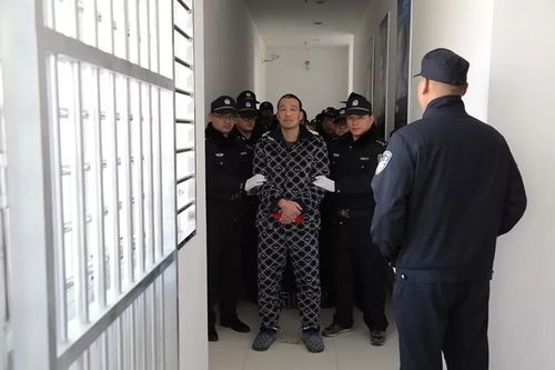 2018年审结一审重大刑事案件21件34人,其中判处无期徒刑及