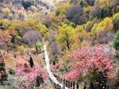 吐鲁沟国家森林公园