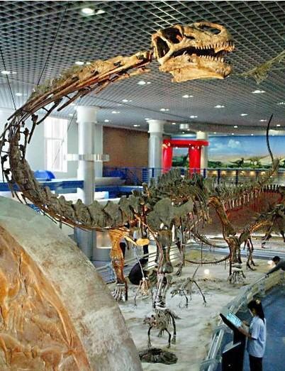 走进自然之北京自然博物馆-植物世界