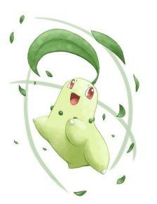 神奇宝贝菊草叶简笔画