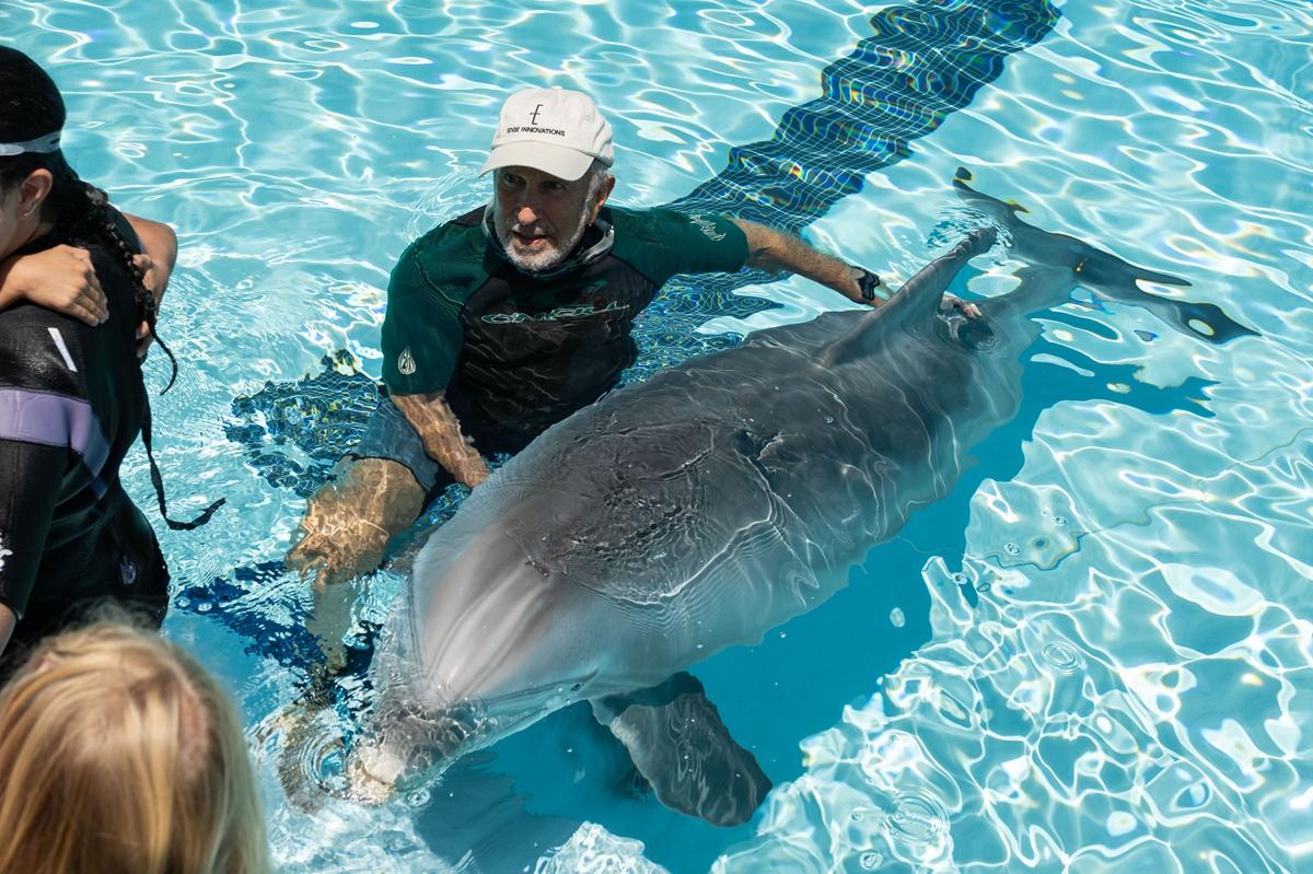 国外推出机器海豚代替圈养海豚表演杂技招待游客