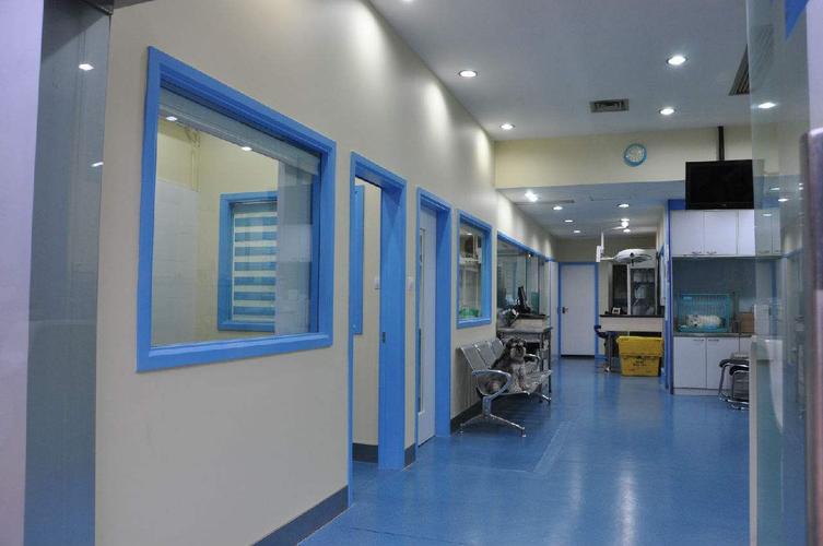 600平宠物医院装修效果图