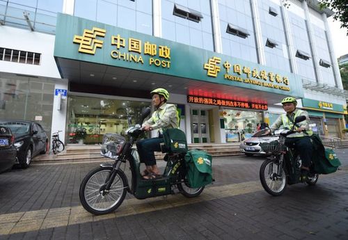 福田区政务服务大厅的工作人员,正用实际行动诠释 " 优质,高效,便民