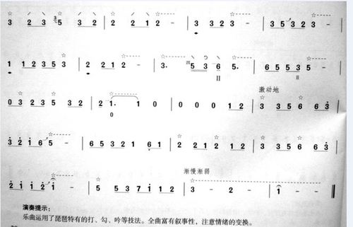 菊花台的琵琶谱