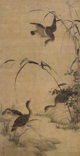 *0073 芦雁图 立轴 设色绢本
