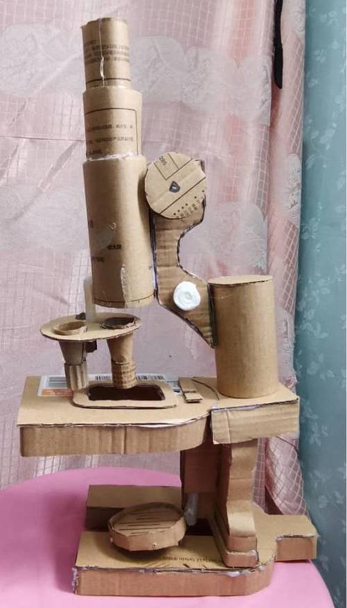 2020年七年级综合实践:制作显微镜的模型