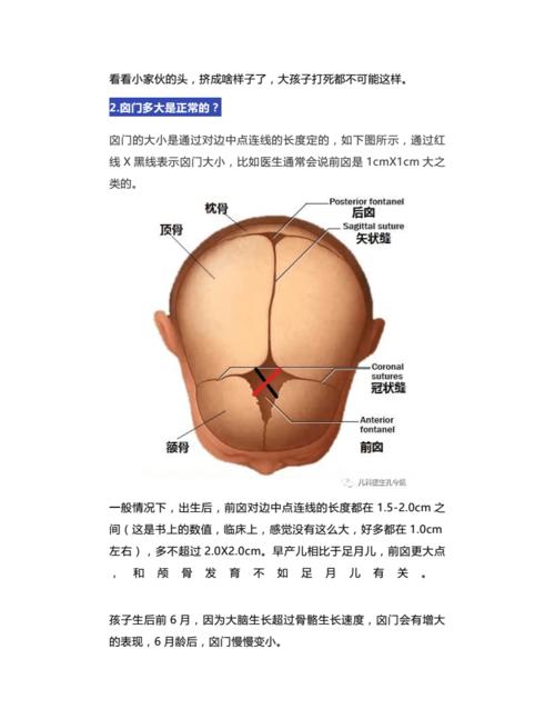 宝宝囟门闭合早晚问题不大,但颅缝闭合早了不行哦.doc
