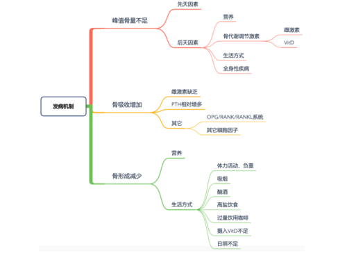 骨质疏松症发病机制的思维导图