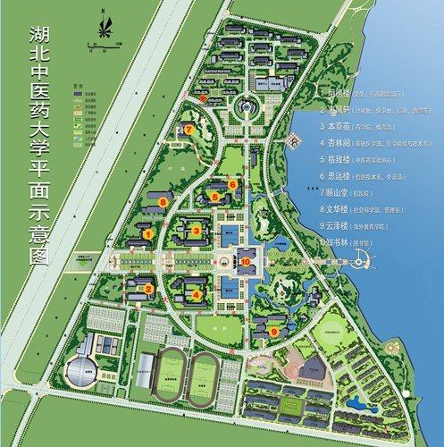 中医药大学平面图