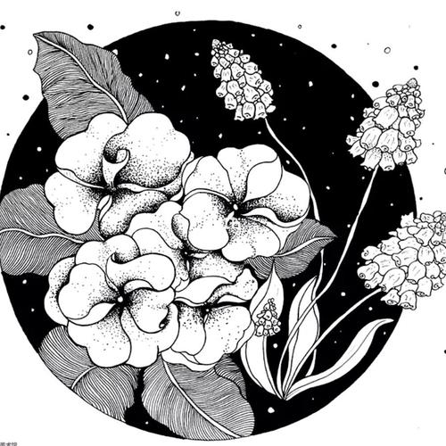 素材|将植物花草画成黑白线描装饰画_绘画_幼儿园_美术_装饰画_亲子