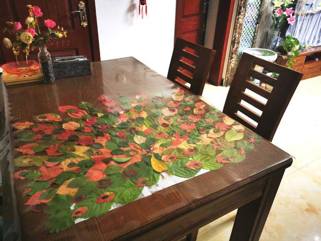 超大的孔雀开屏树叶画效果太惊艳还不学起来