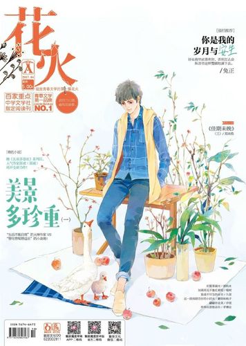 花火杂志的照片 - 微相册