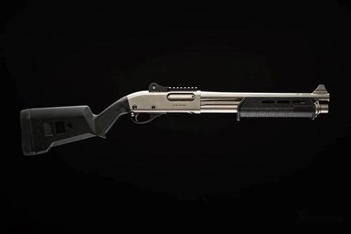 【枪械美图大赏】爱美之心人皆有之 逍遥算是个外观党