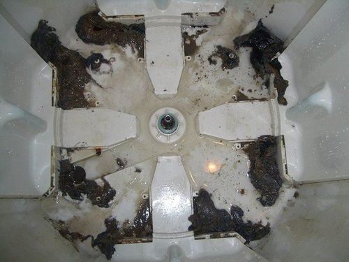 家里的洗衣机竟然脏成这样!看到第三张图,我直接跪了!
