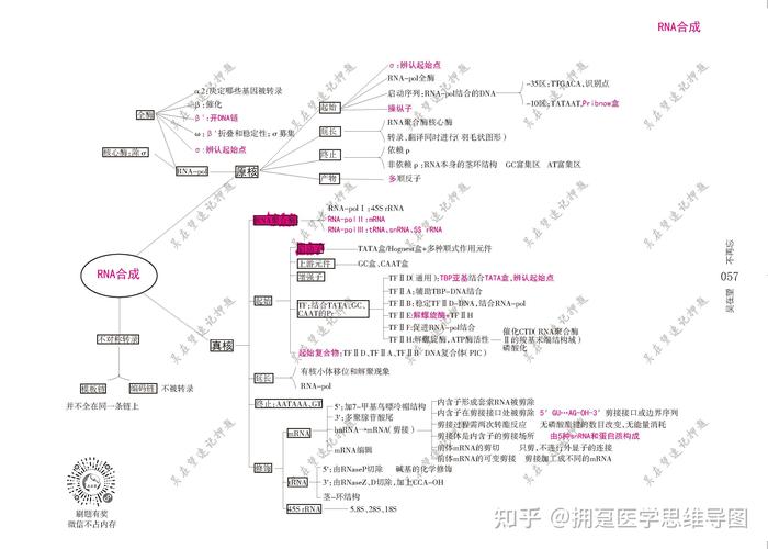 生物化学与分子生物学思维导图有没有推荐的友友们?