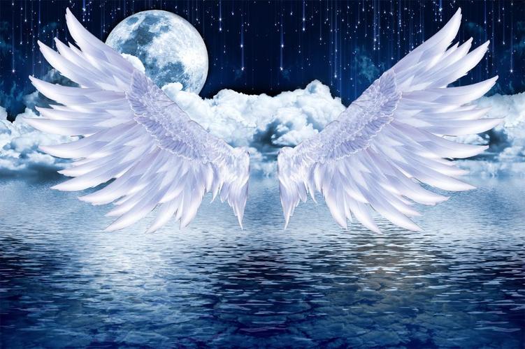 天使恶魔的翅膀 - 堆糖,美图壁纸兴趣社区