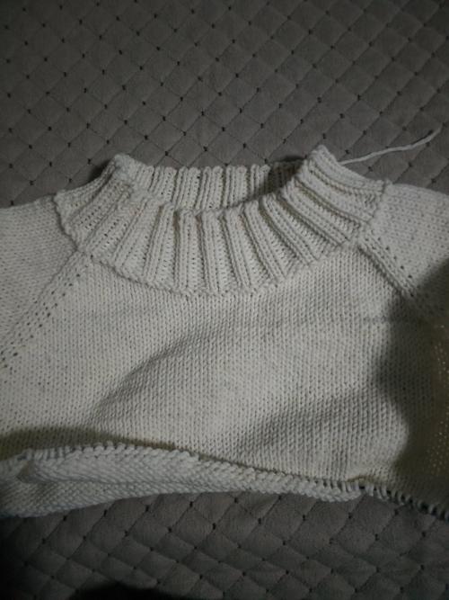 成人毛衣,13号针,从领口起针,起100针,身子180针,袖子70针.