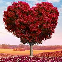 一棵树头像_qq微