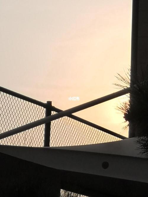 912021寒假回忆‖碎片_寒假去哪玩_中考_立个flag_教育_中学教育