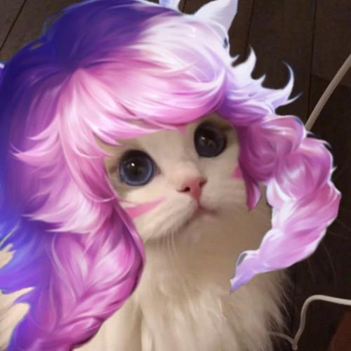 王者荣耀 接头小猫咪头像 瑶