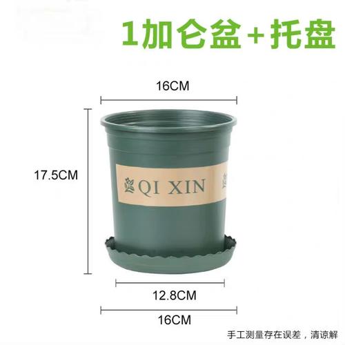 草莓种植塑料加仑花盆绿萝月季花多肉大口径特价包邮加厚小加仑盆