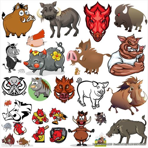 野猪图片