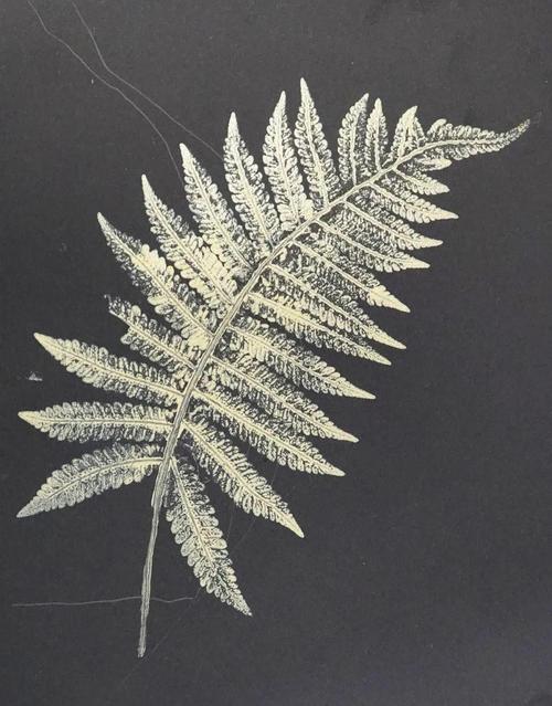 国际博物馆日丨重塑生活之美综合材料版画制作