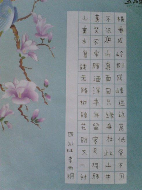 四【6】班:语文硬笔书法竞赛优秀作品展