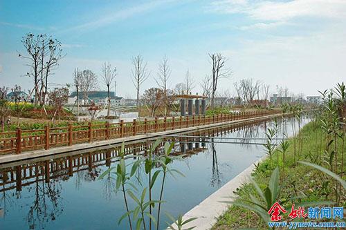 小曹娥镇扎实推进"美丽家园"建设