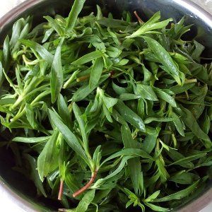 先将买来的扫帚菜清洗干净.